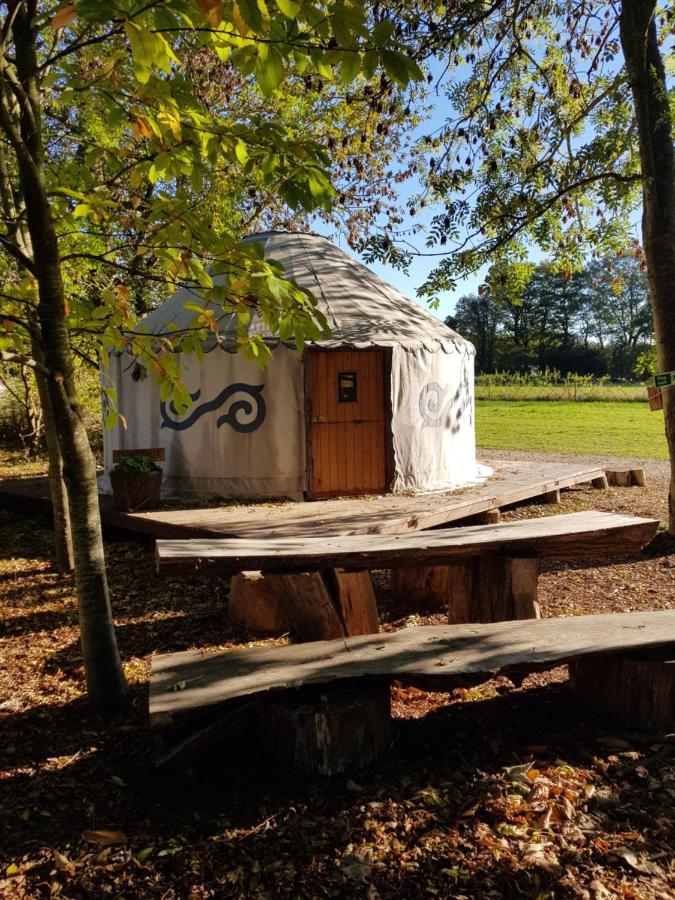 Plush Tents Yurt Village Chichester Exterior foto