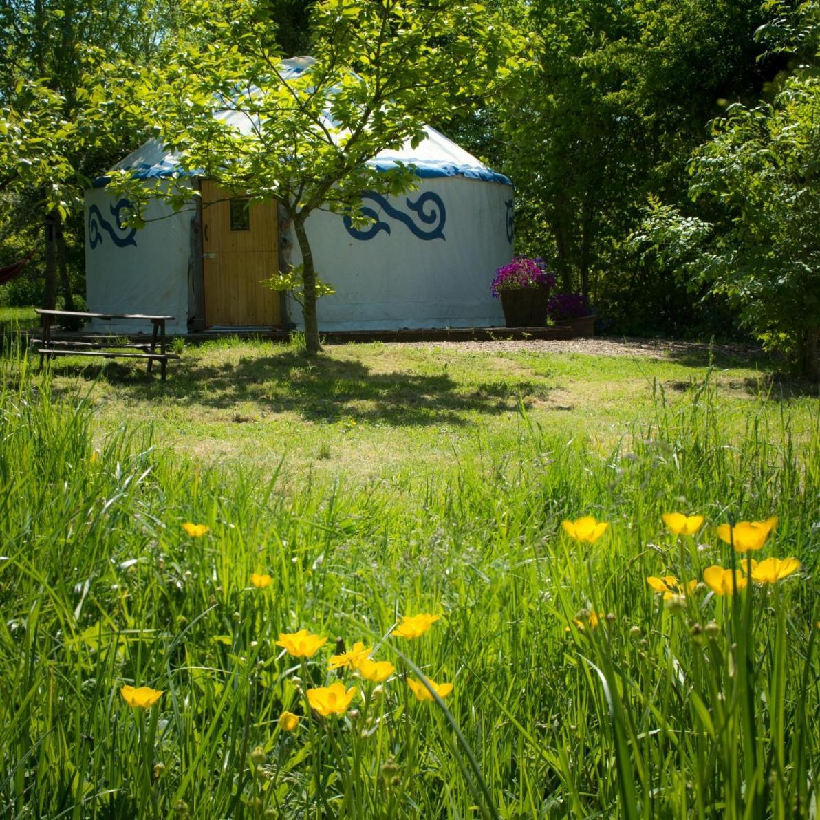 Plush Tents Yurt Village Chichester Exterior foto